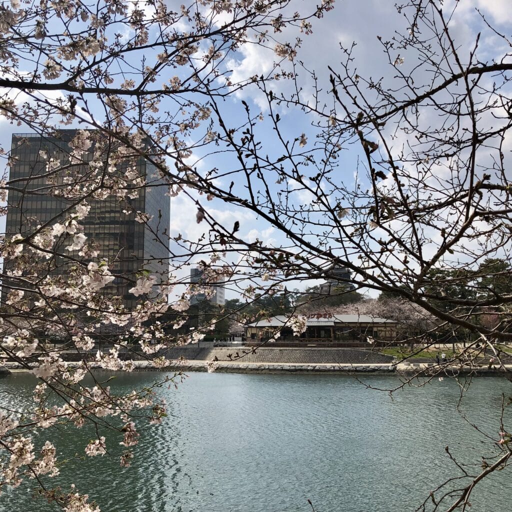 桜　城