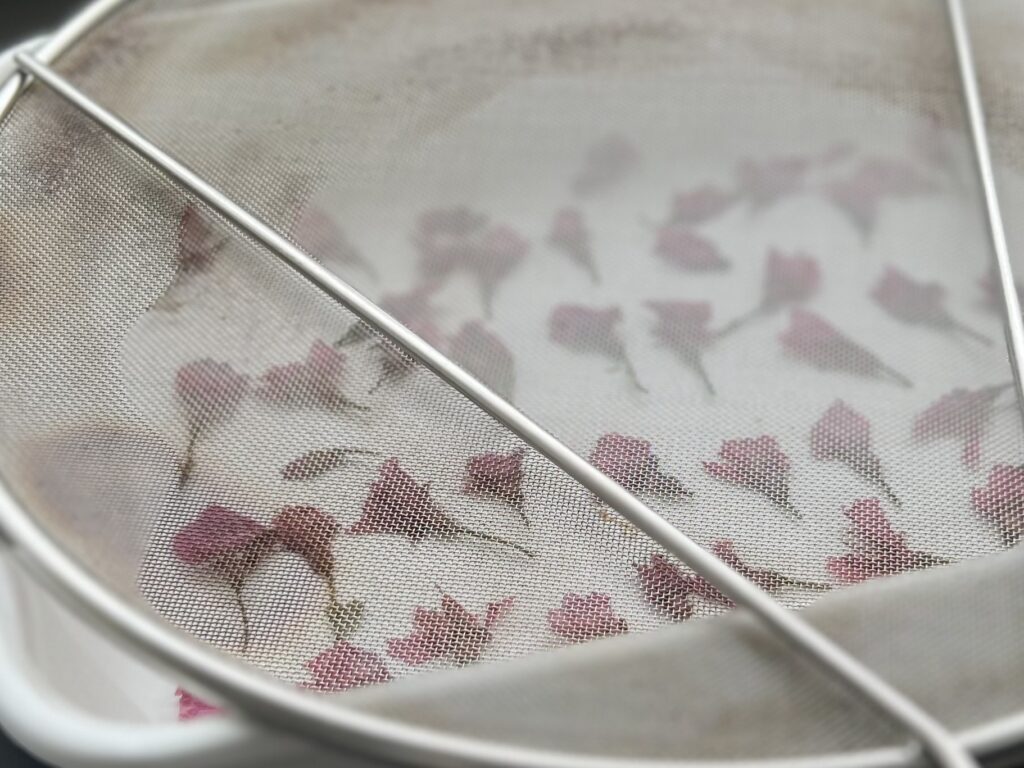 【沖縄】寒緋桜（カンヒザクラ）を使って桜の塩漬け作り TB icoco