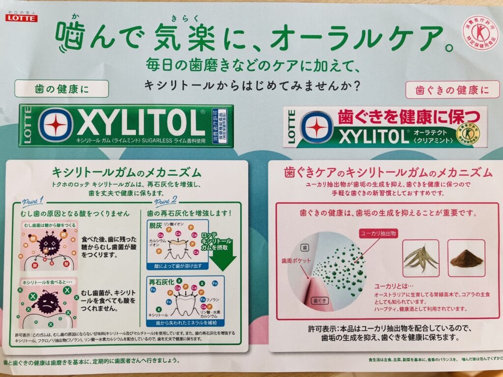 キシリトールガム ロッテ 歯 オーラルケア チラシ