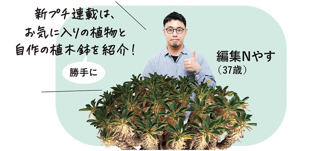 新プチ連載は、お気に入りの植物と自作の植木鉢を勝手に紹介！
編集Nやす（37歳）