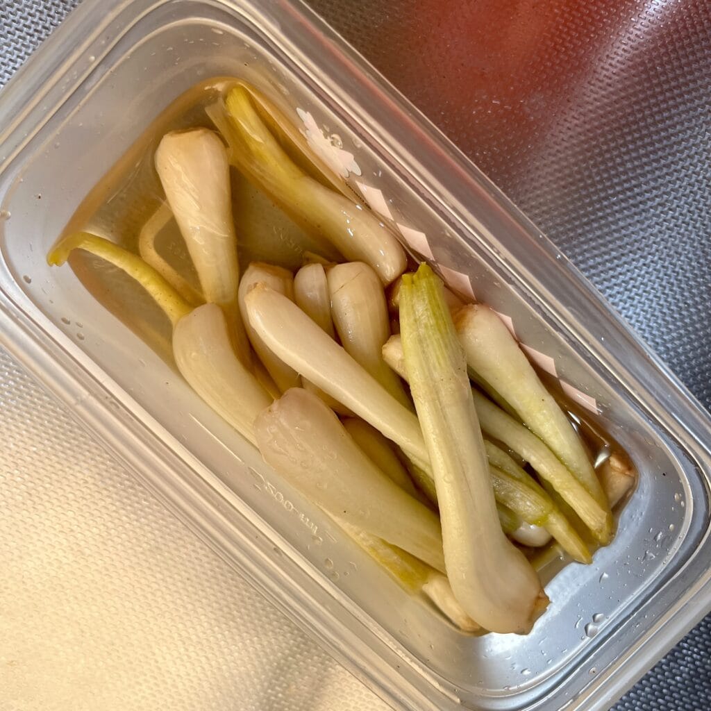 島らっきょう　野菜