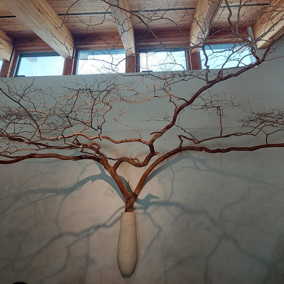 枝もの 菰野花苑NS 壁