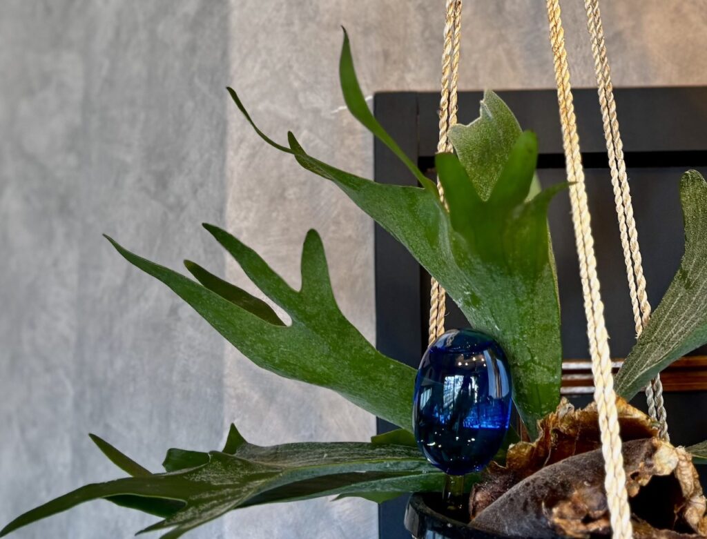 アマブロ TWO TONE WATER DISPENSER 吊り下げグリーンの使用シーン