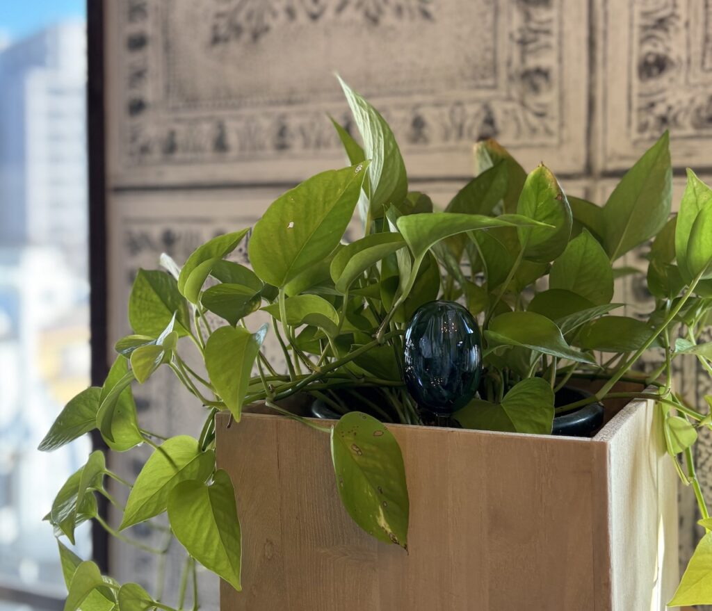 アマブロ TWO TONE WATER DISPENSER 使用シーン