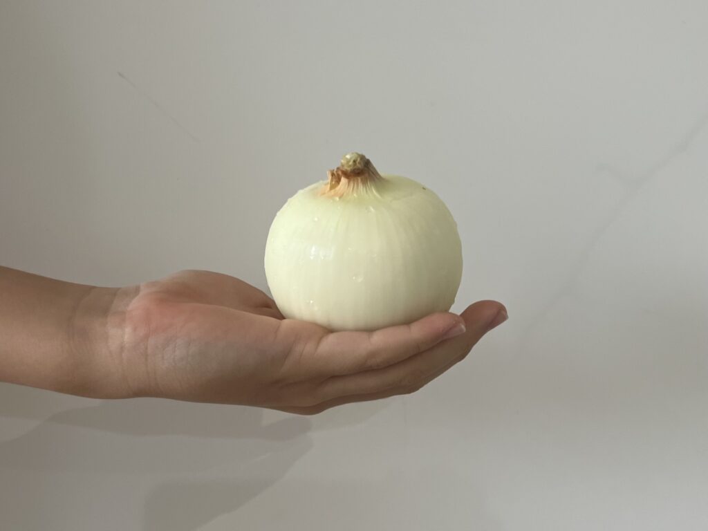 【LEEレシピ】榎本美沙さん「新玉ねぎのお醤油ドレッシング」を作って休日ごはん TB icoco