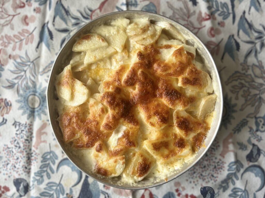 クーガ芋 沖縄 ドフィノア