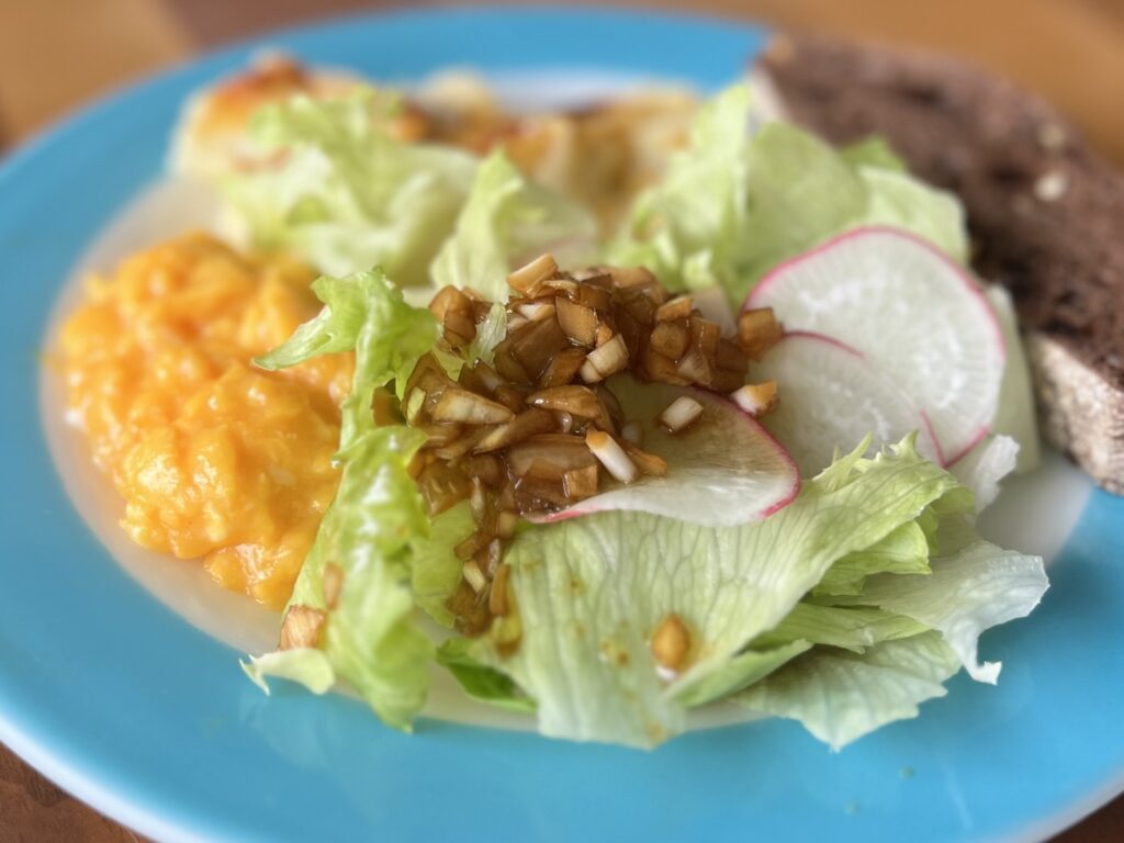 【LEEレシピ】榎本美沙さん「新玉ねぎのお醤油ドレッシング」を作って休日ごはん TB icoco