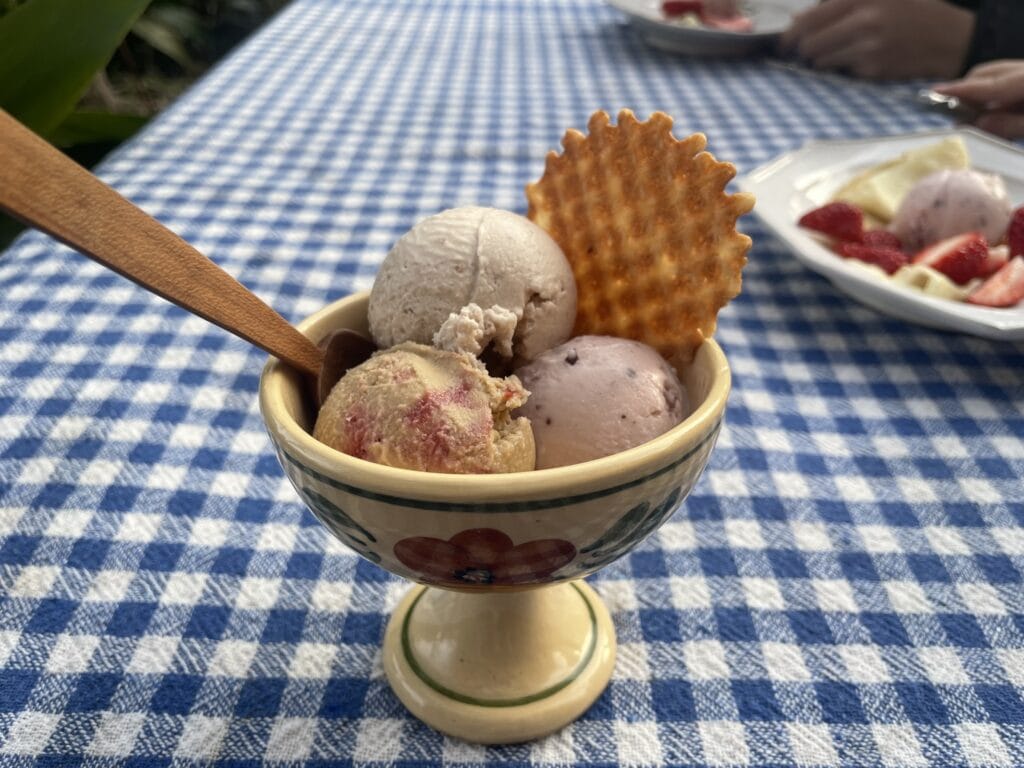 ミコト屋 アイスクリーム KIKI NATURAL ICECREAM LEE100人隊 TB はな おでかけ おでかけ部