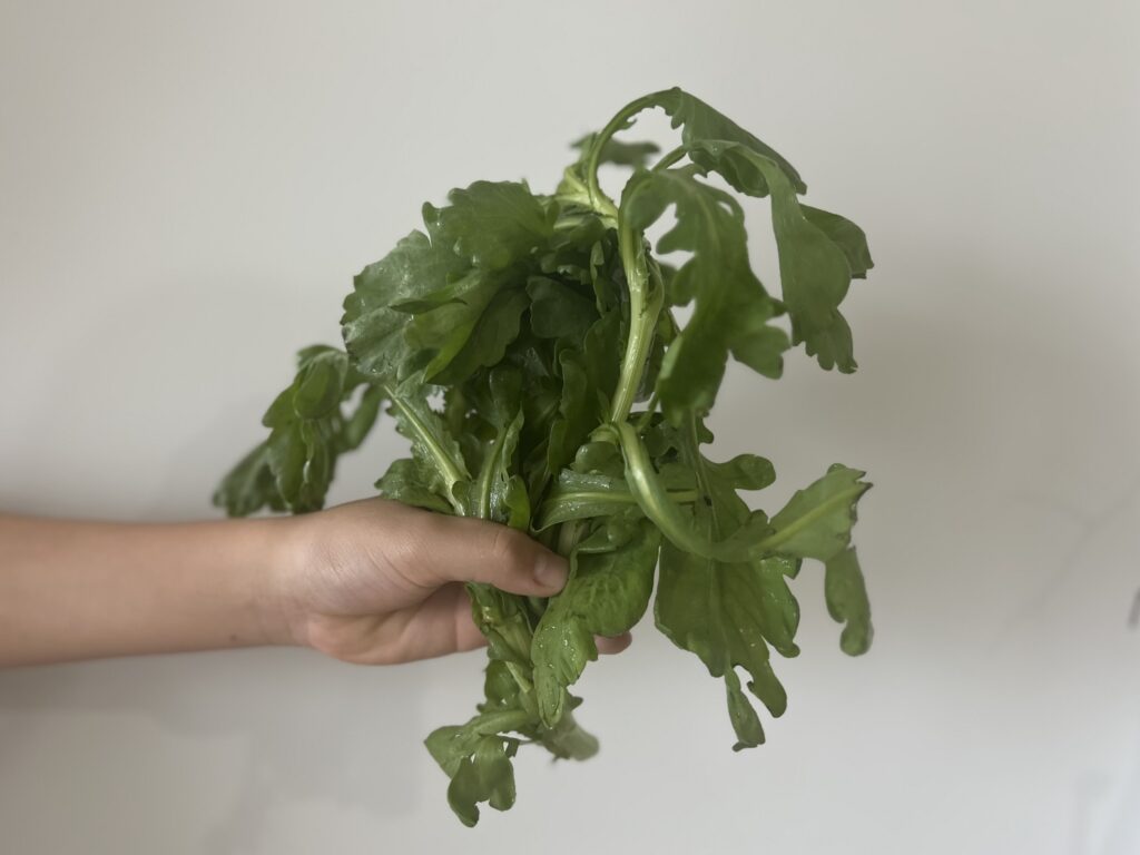 【LEEレシピ】「春菊のジョン」を作ったよ／榎本美沙さん TB icoco