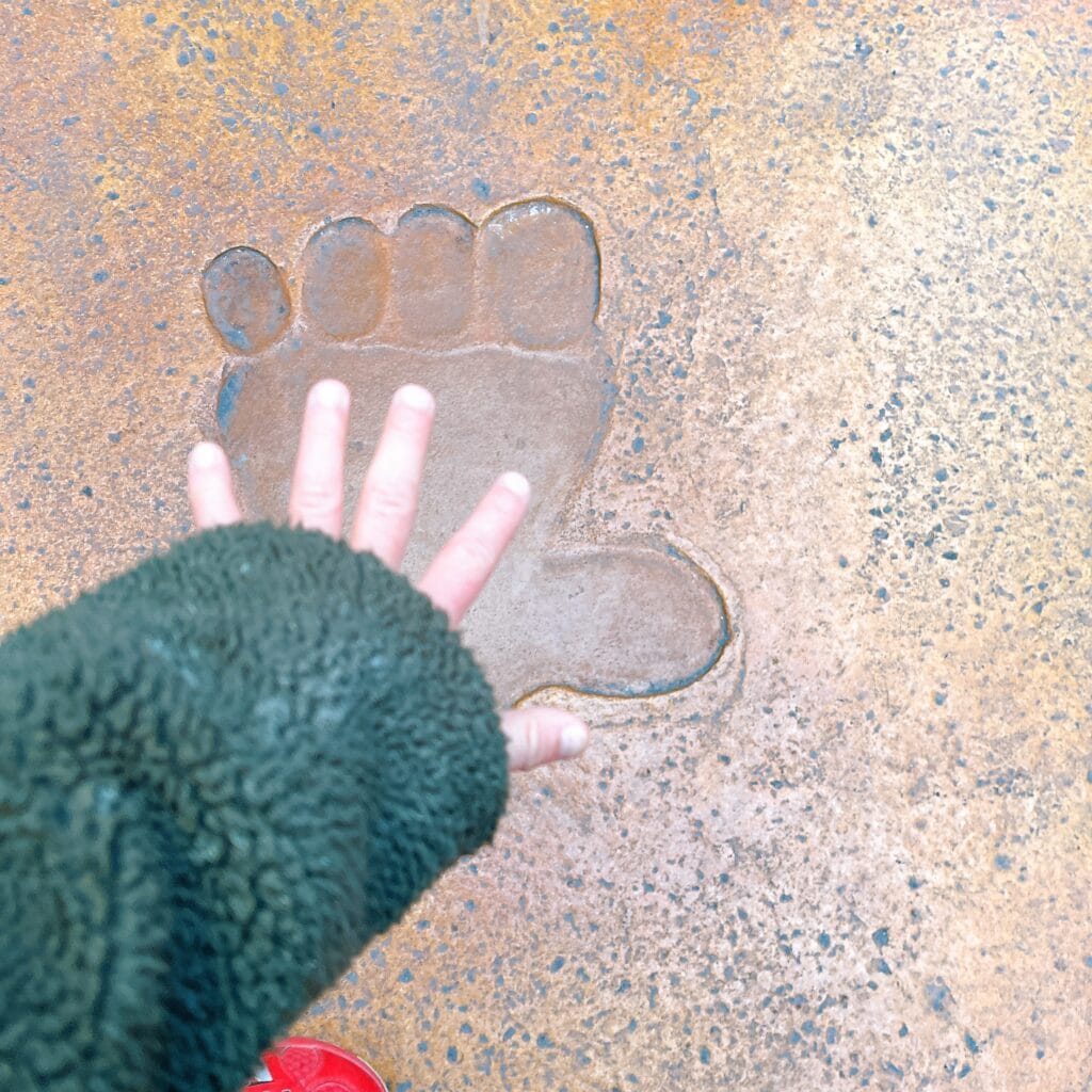 ドンキーコング