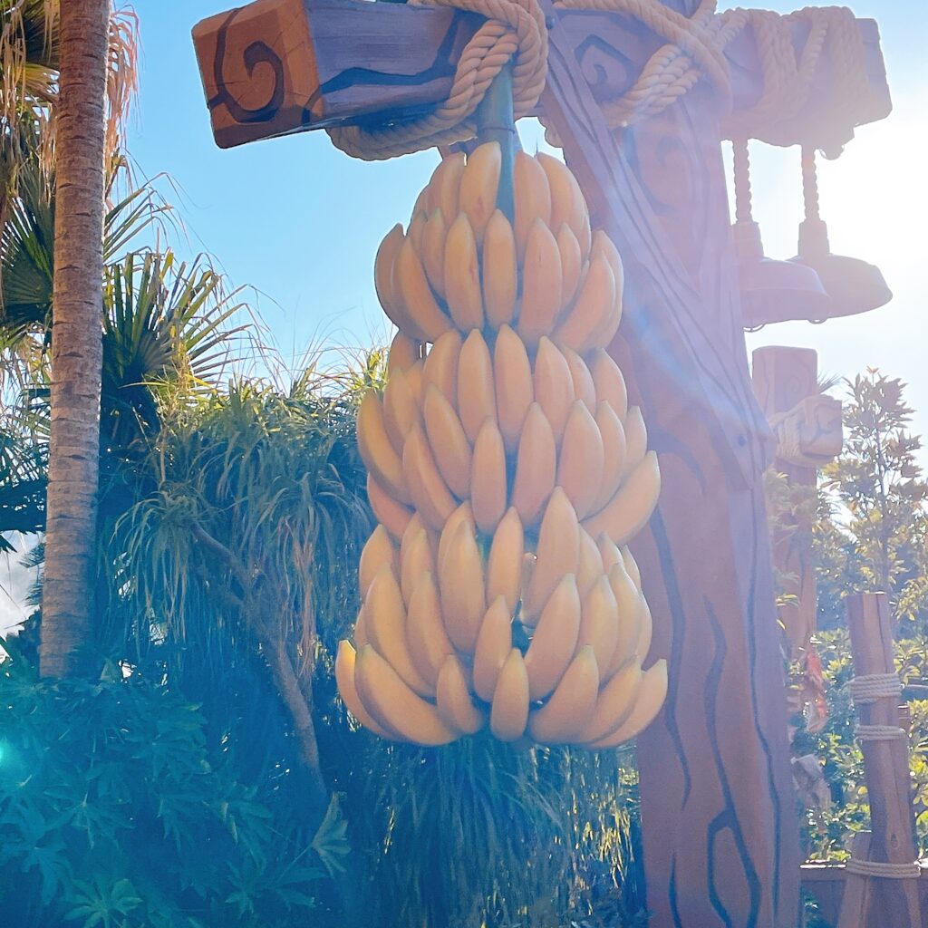 ドンキーコング