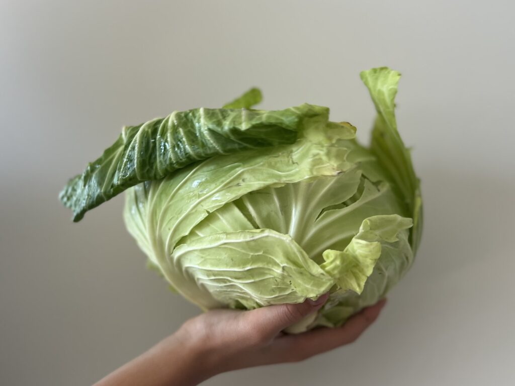 【LEEレシピ】「春野菜スープ」榎本美沙さん／作りました TB icoco