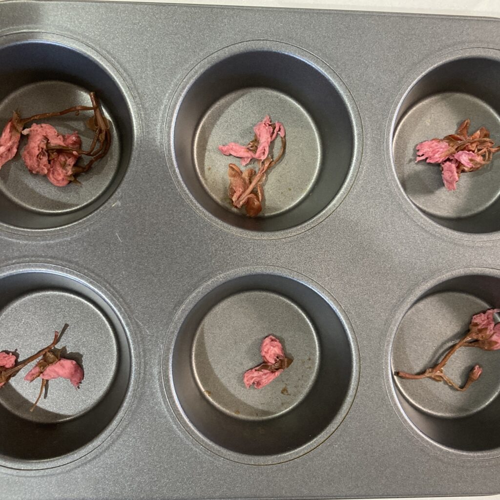 桜ゼリー 桜の塩漬け 料理