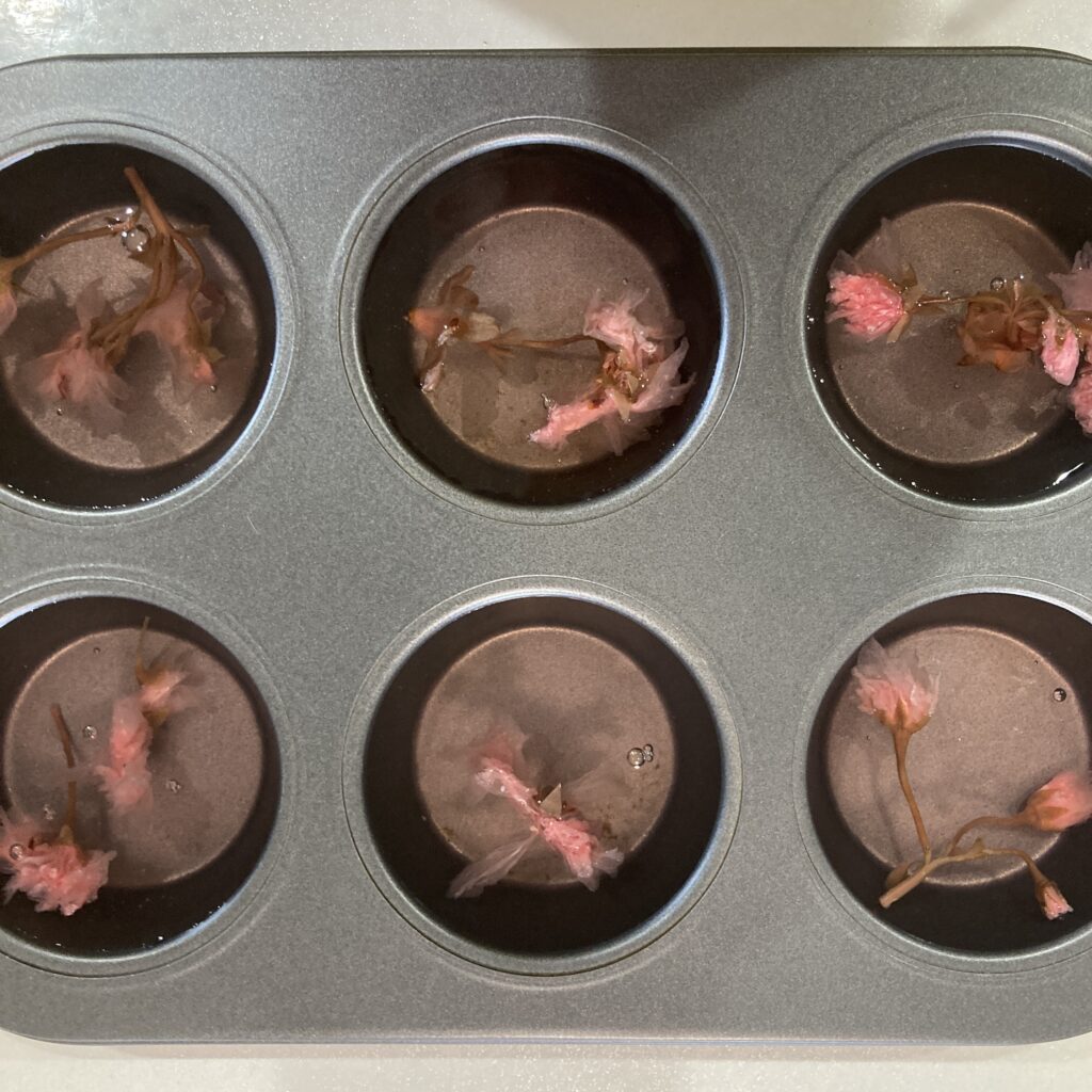 桜ゼリー 桜の塩漬け 料理