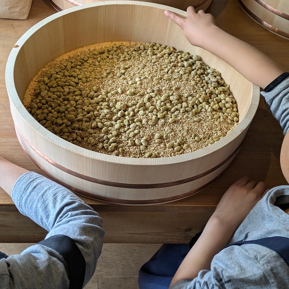 ひのき桶　ワークショップ子供　醤油作り