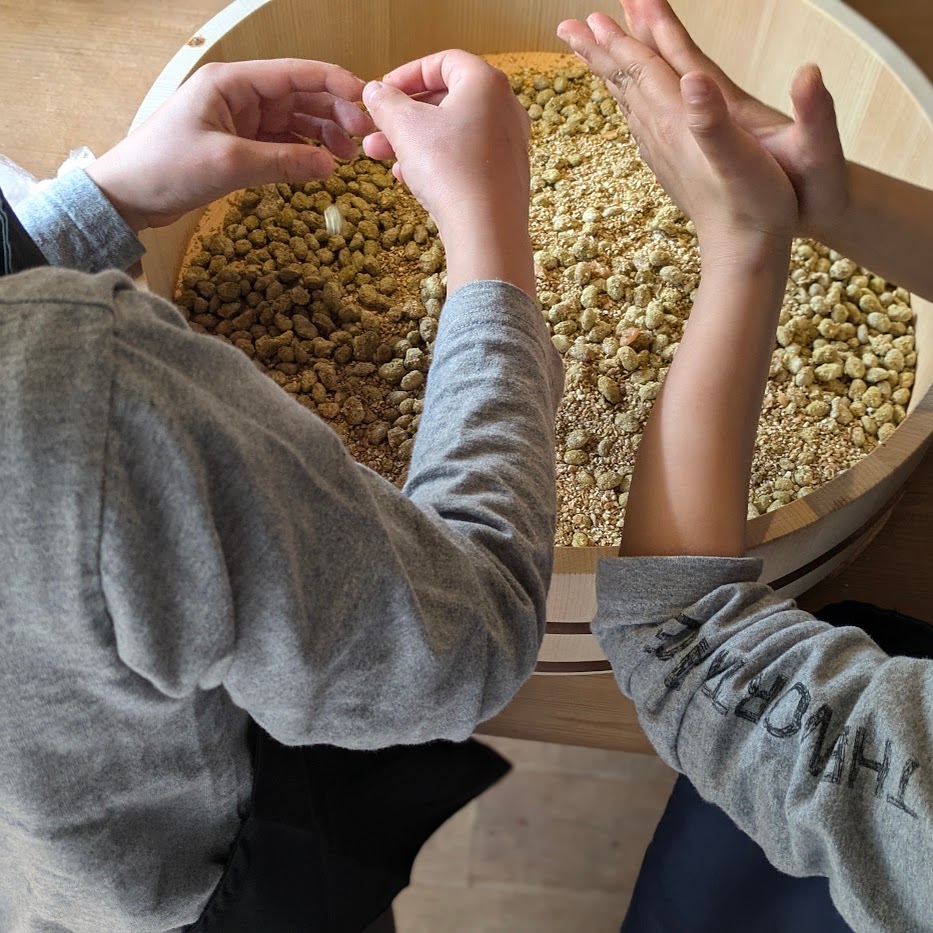 お醤油作り　ワークショップ　まぜまぜ