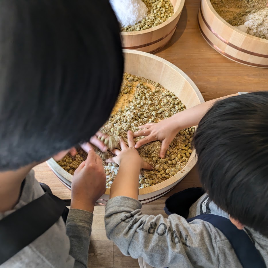 ひたすら混ぜる　こども　醤油作り