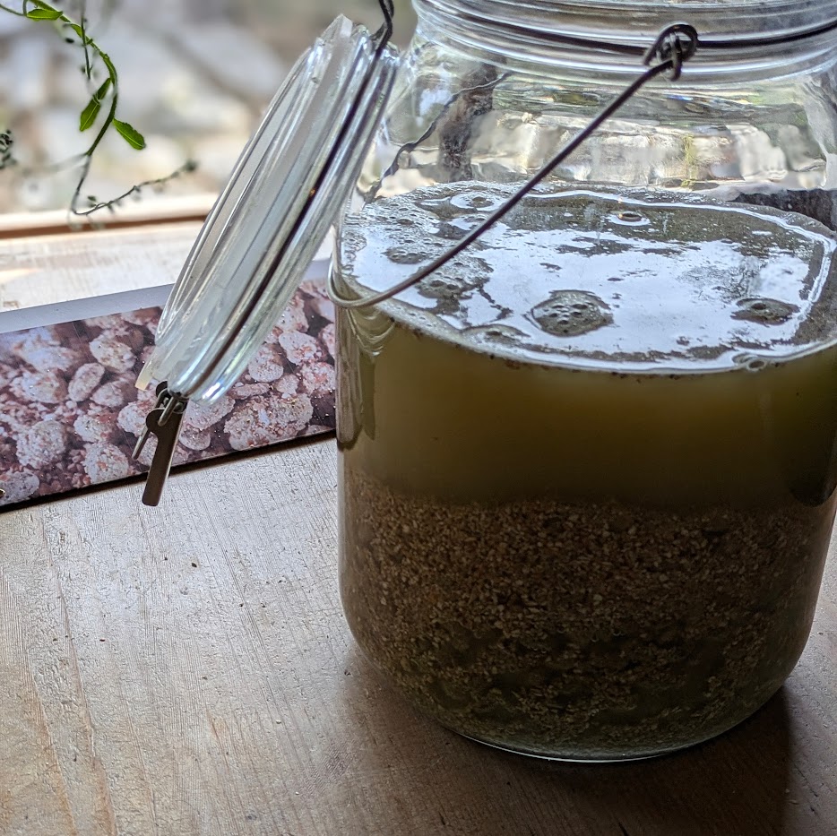 醤油　仕込み瓶　ワークショップ