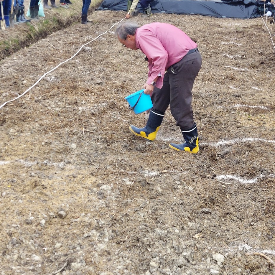 菌ちゃん 印付け 畝位置決め