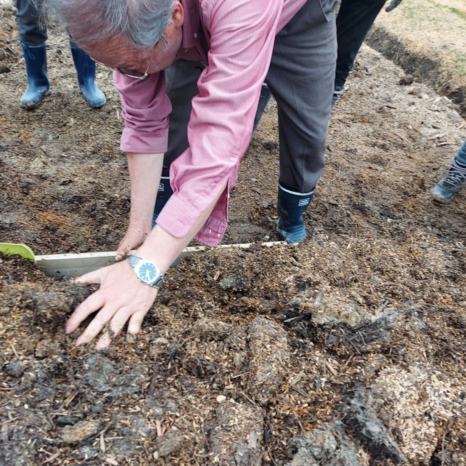整える 菌ちゃん 板
