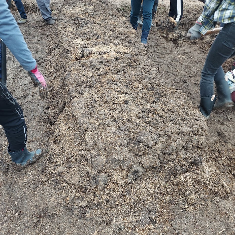 高畝 菌ちゃん 農作業