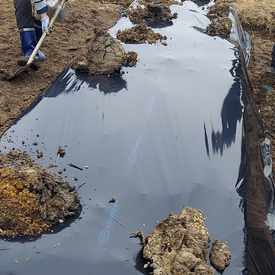土のせ 重し 菌ちゃん