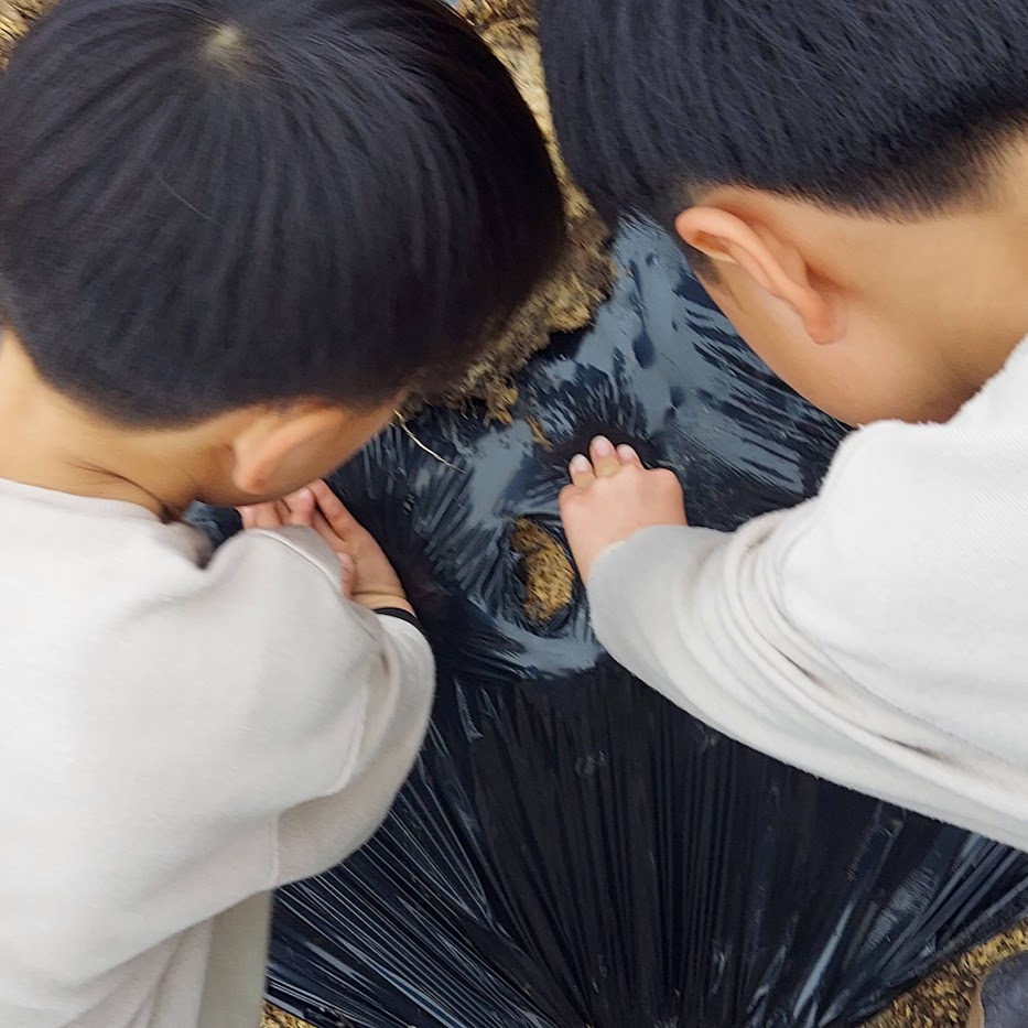 菌ちゃん農法 子供と農業 食育