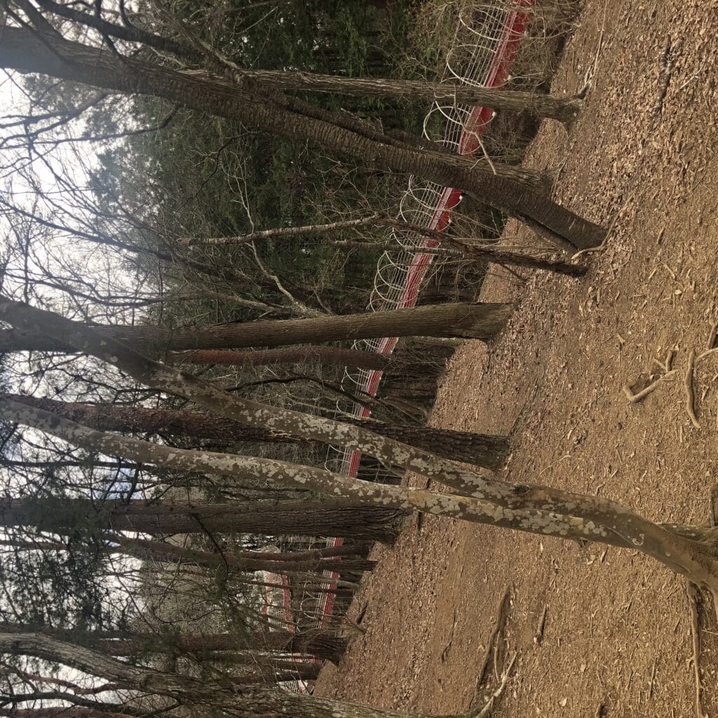 笠間芸術の森公園