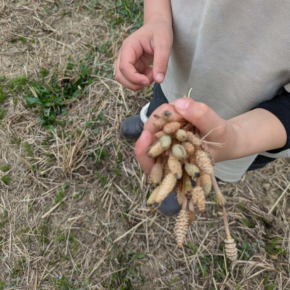 つくし 自然派子育て 農業体験