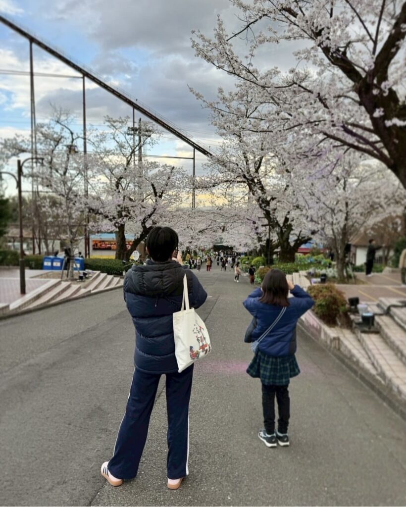 よみうりランド お花見