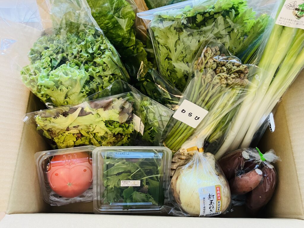 ふるさと納税
野菜セット
熊本県益城町