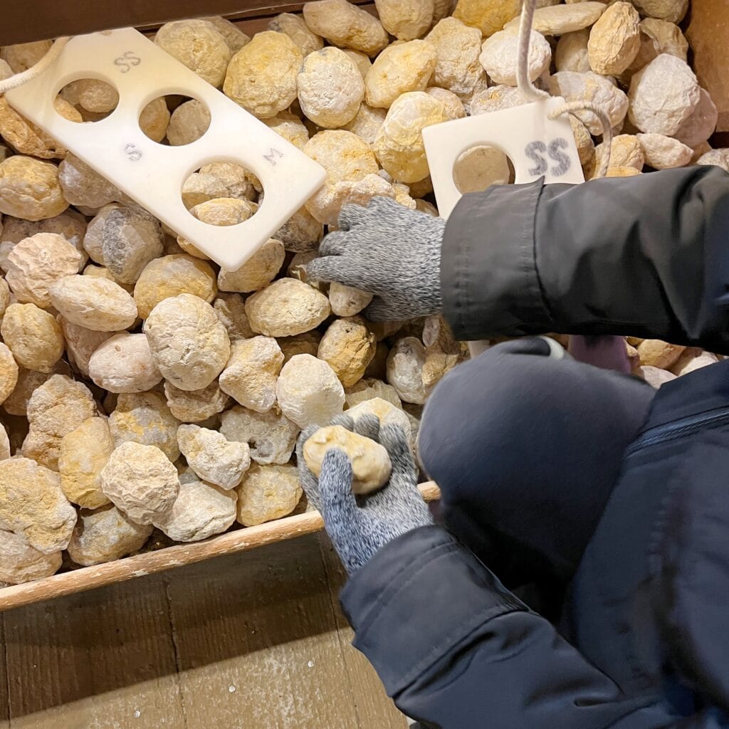 トレジャーストーンパーク 那須高原 子連れ