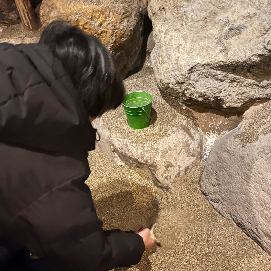 トレジャーストーンパーク 那須高原 子連れ