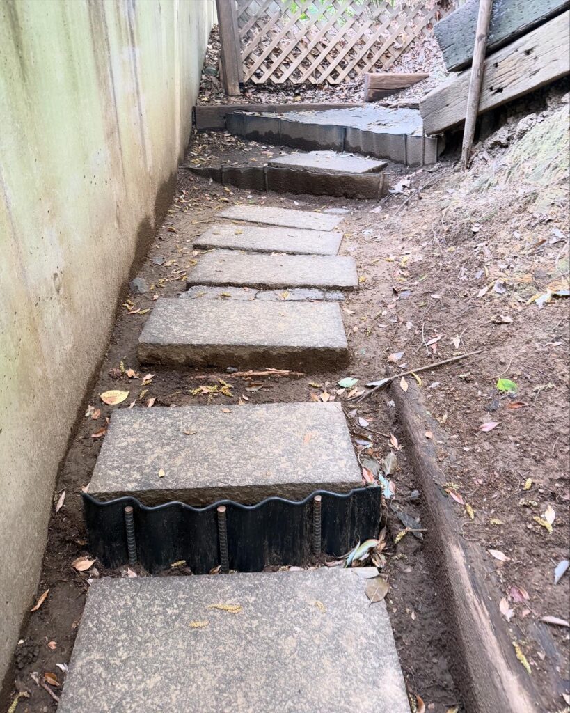 フィオーレの森