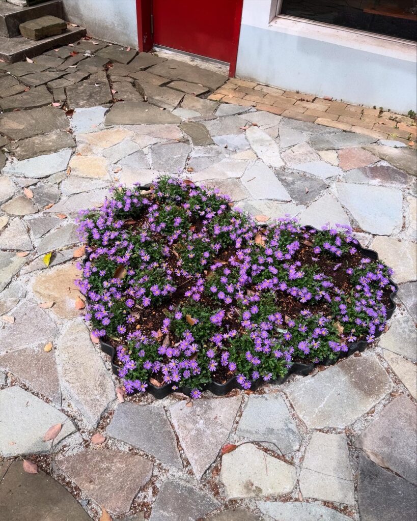 武蔵溝ノ口 フィローレの森