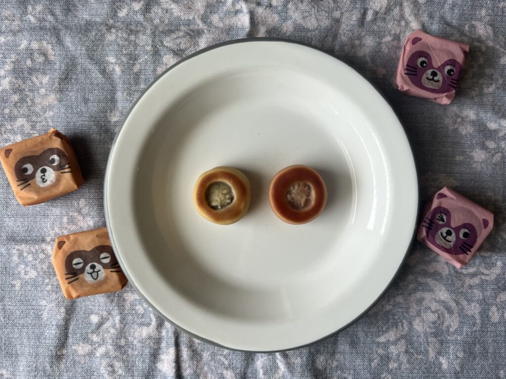 スーパーで買える銘菓•【愛媛】たぬきまんじゅう TB icoco