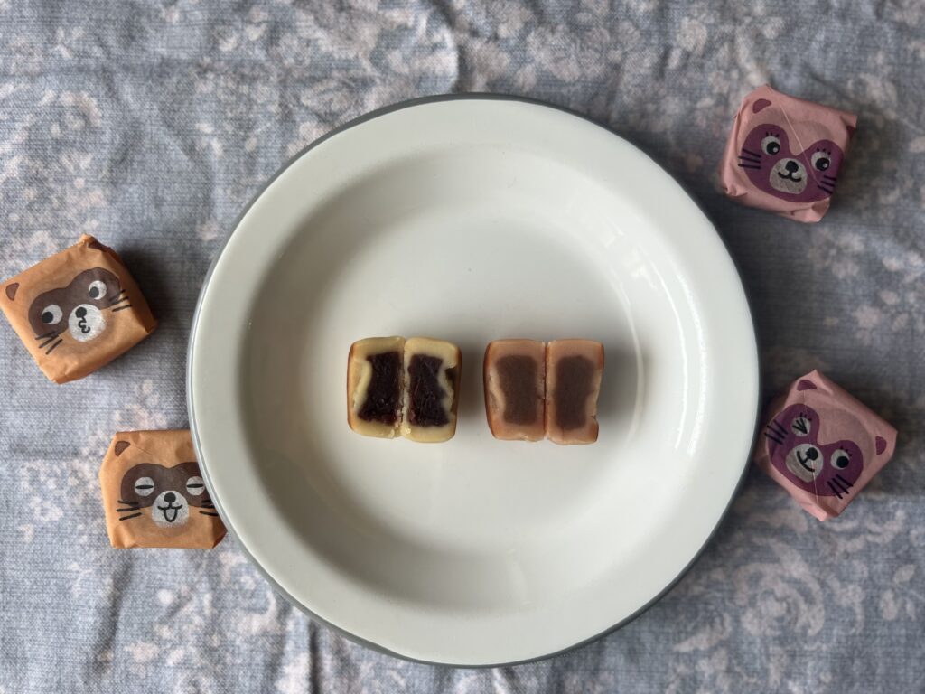 スーパーで買える銘菓•【愛媛】たぬきまんじゅう TB icoco