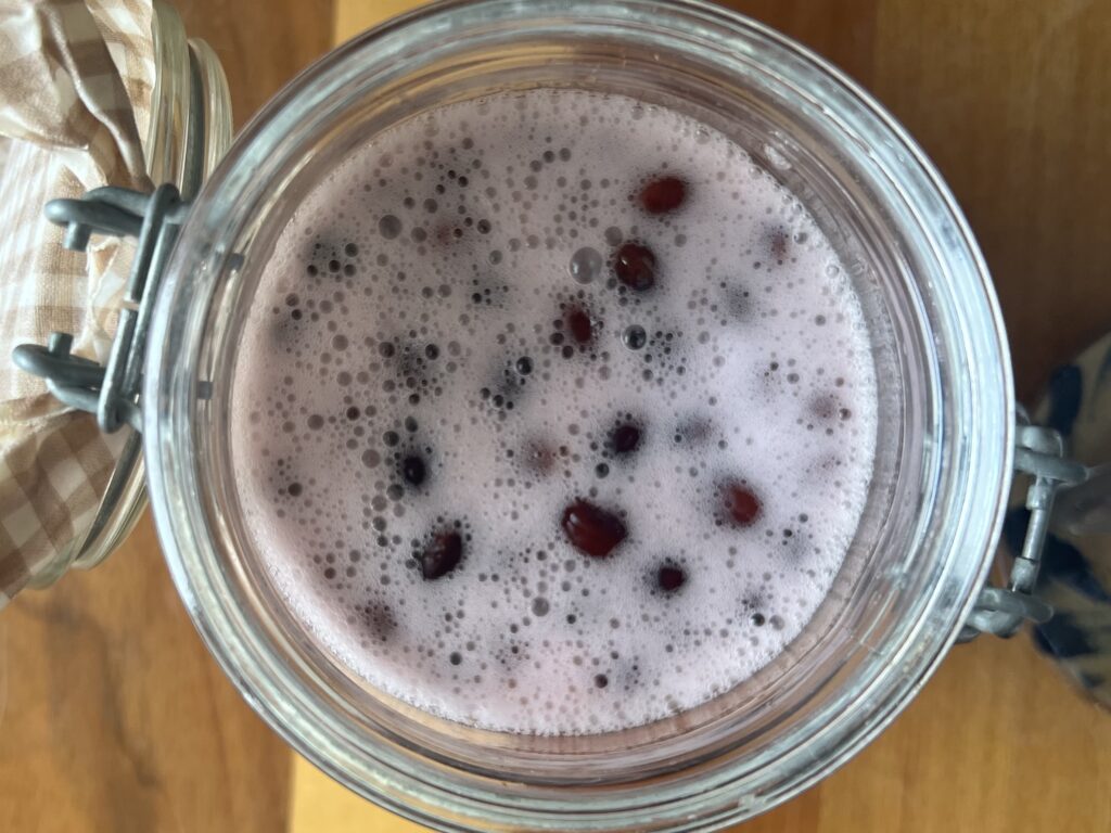 【沖縄】「寒緋桜(カンヒザクラ)の実」を使って天然酵母作りパン作り① TB icoco