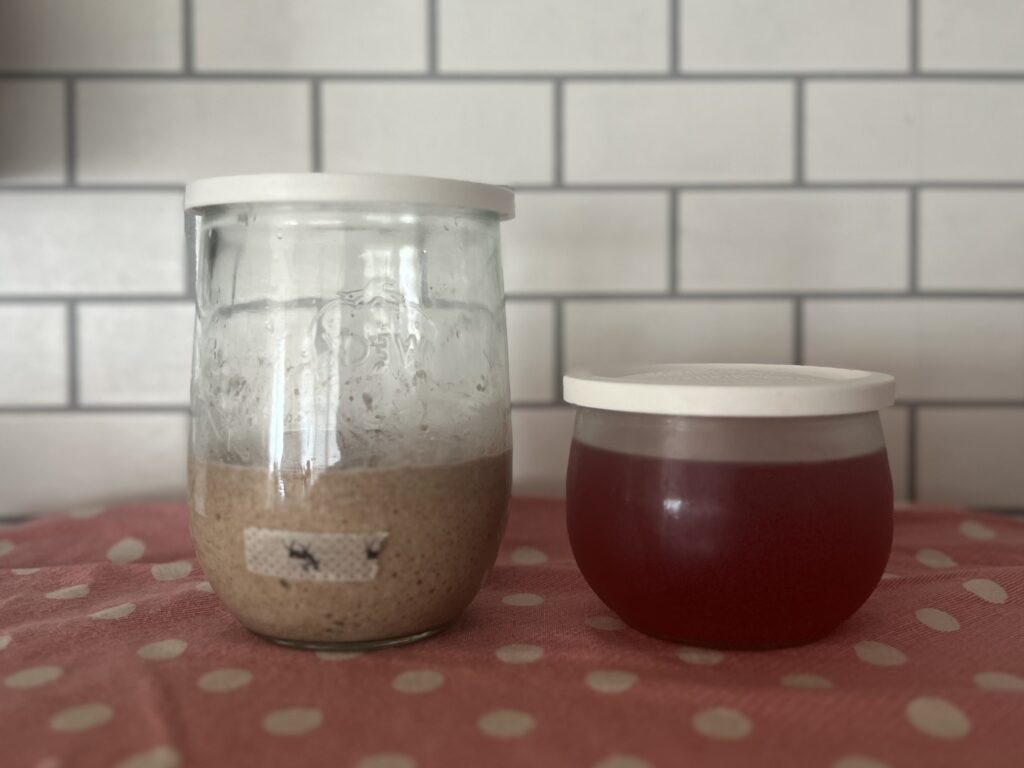 【沖縄】「寒緋桜(カンヒザクラ)の実」を使って天然酵母作りパン作り① TB icoco