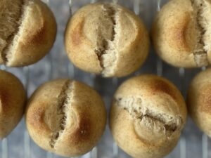 【沖縄】「寒緋桜(カンヒザクラ)の実」を使って天然酵母作りパン作り① TB icoco