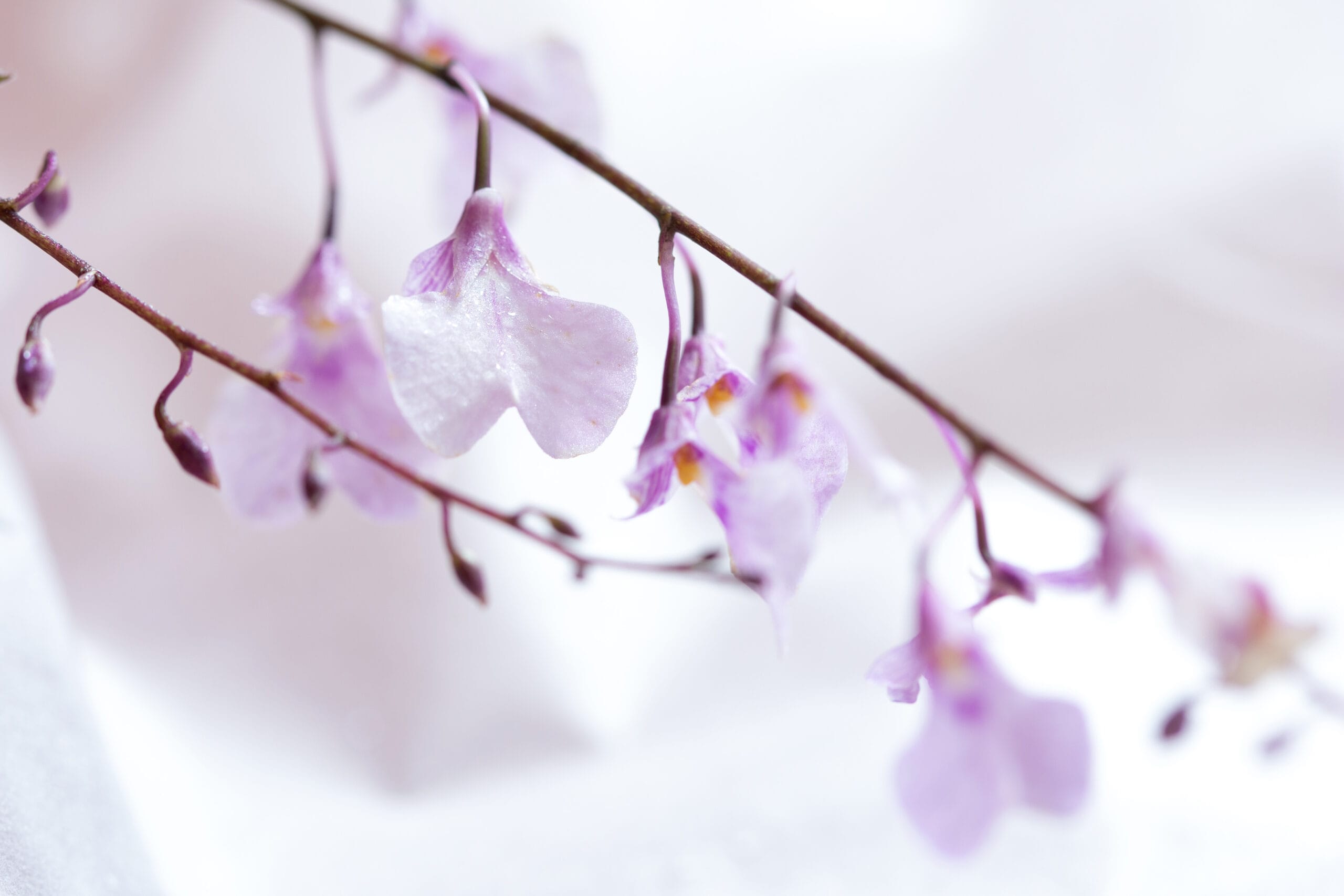 フラワーブーケ　竹中庭園緑化