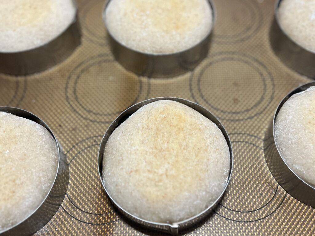 【沖縄】「寒緋桜(カンヒザクラ)の実」を使って天然酵母パン作り② TB icoco