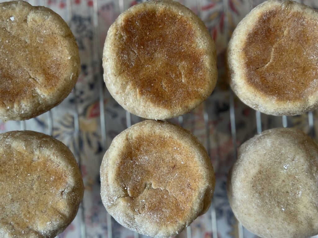 【沖縄】「寒緋桜(カンヒザクラ)の実」を使って天然酵母パン作り② TB icoco