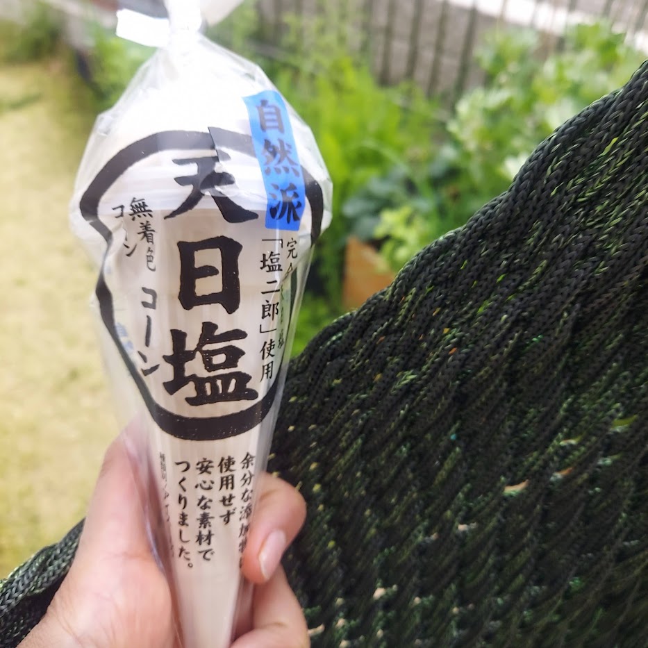 天日塩アイス　休日　子供と過ごす