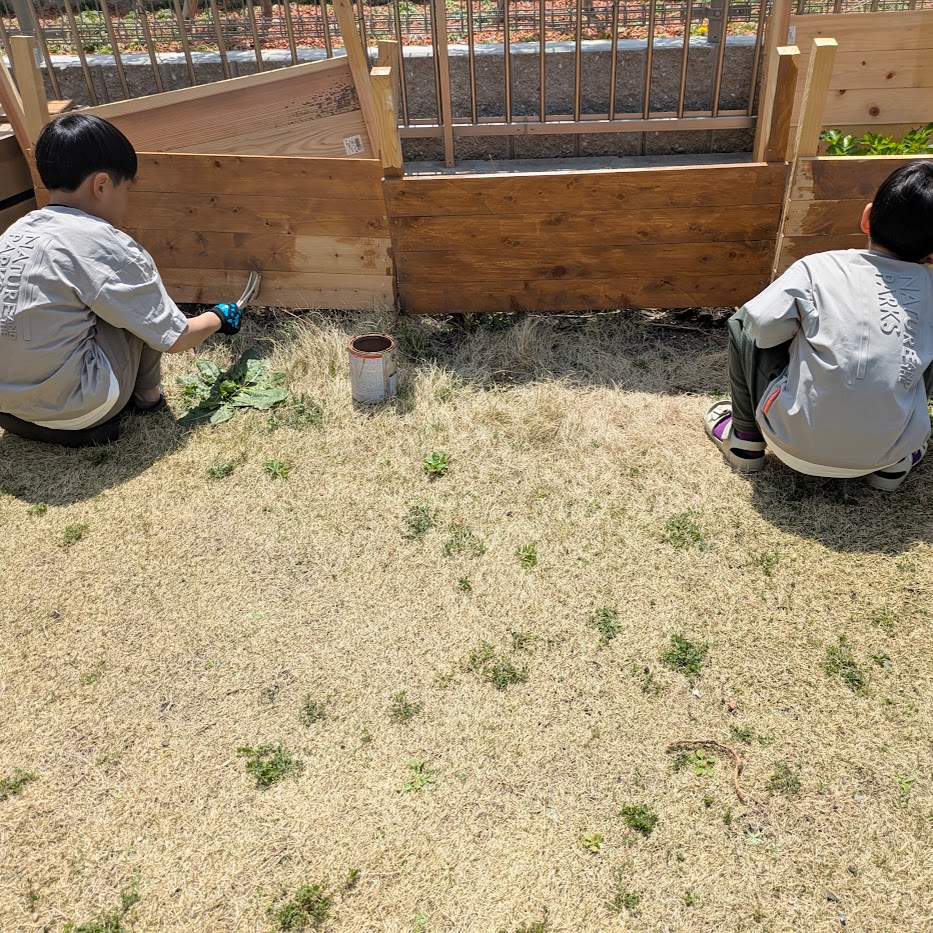 子供と日曜大工　カインズ　防腐剤塗