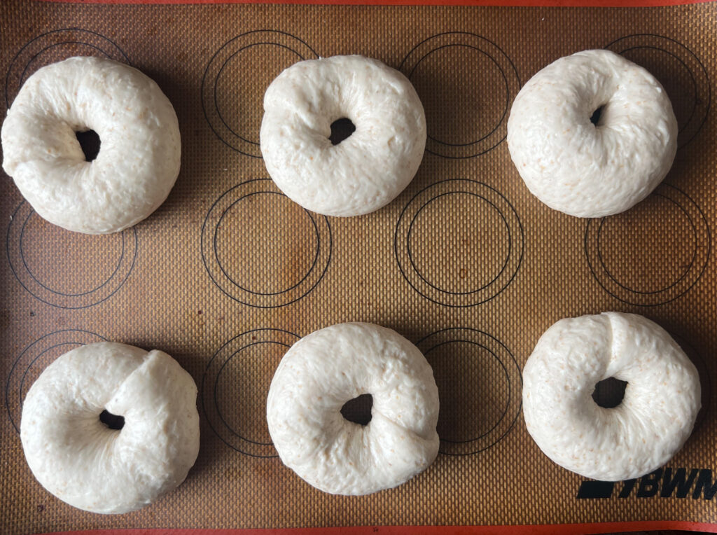 【沖縄】「寒緋桜(カンヒザクラ)の実」を使って天然酵母パン作り③TB icoco