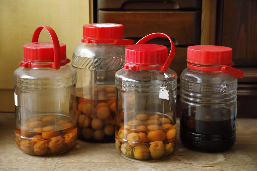 梅仕事　保存容器に漬けている