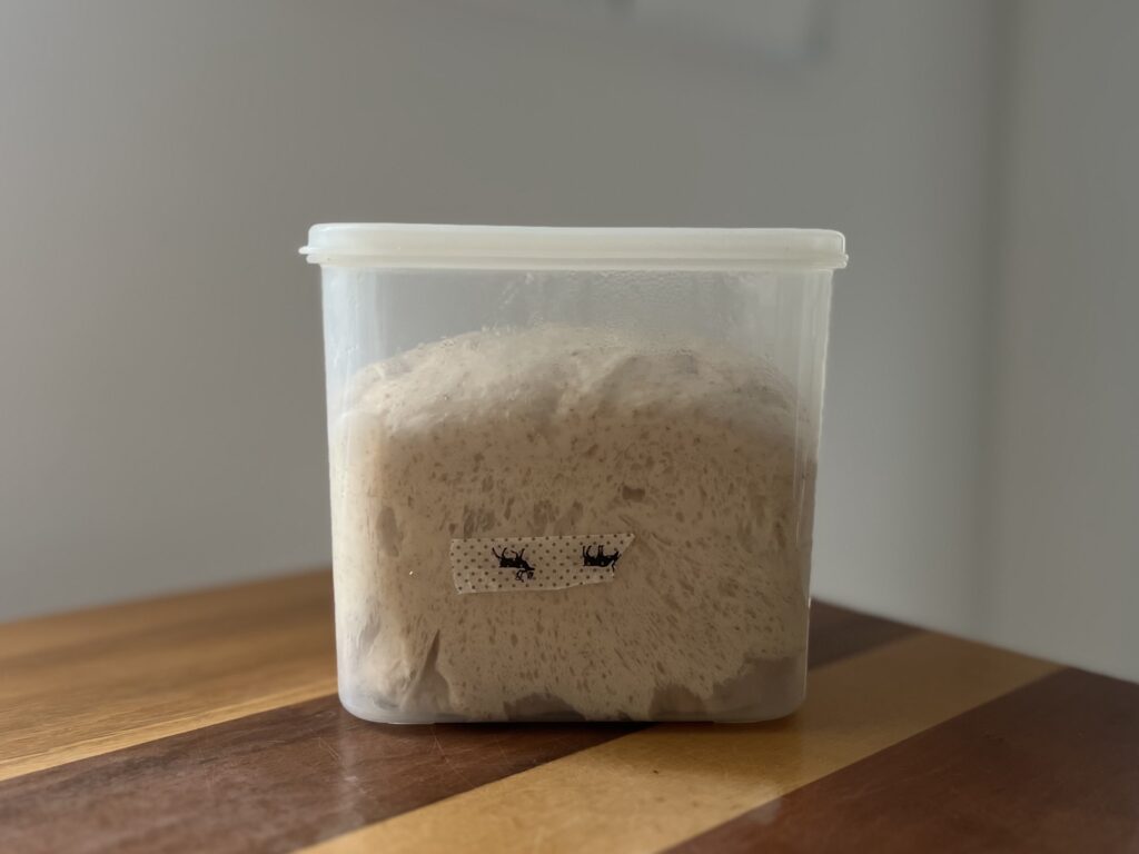 【沖縄】「寒緋桜(カンヒザクラ)の実」を使って天然酵母パン作り④TB icoco