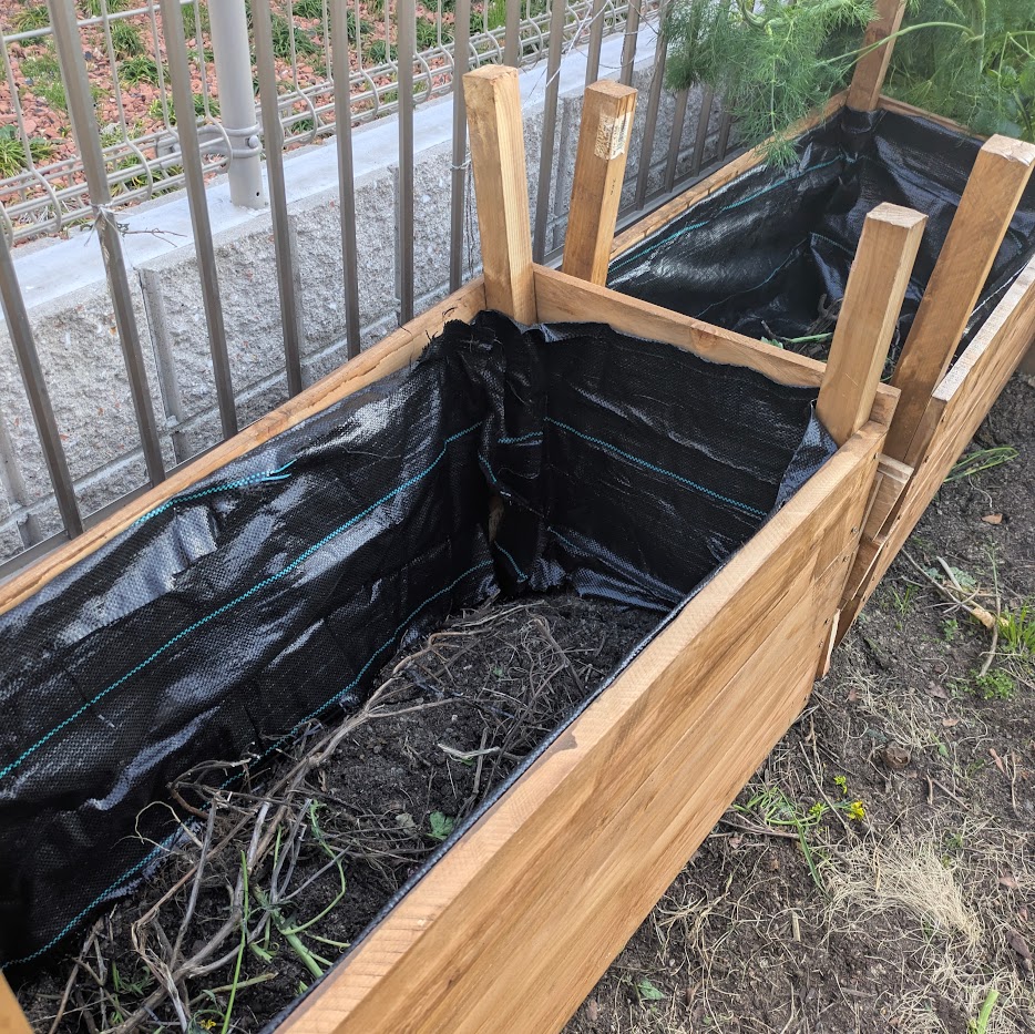 レイズドベット　コポ庭　中身