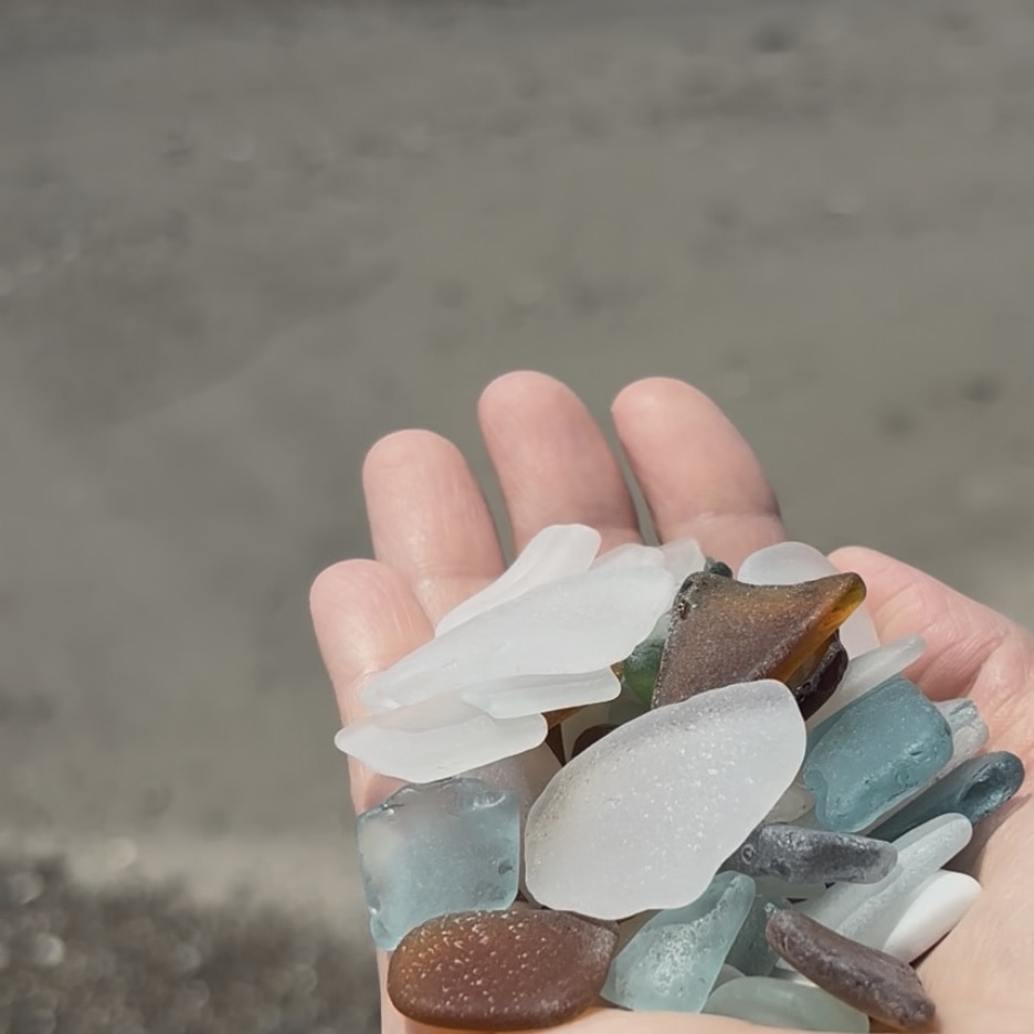 千葉県鴨川市 内浦海岸